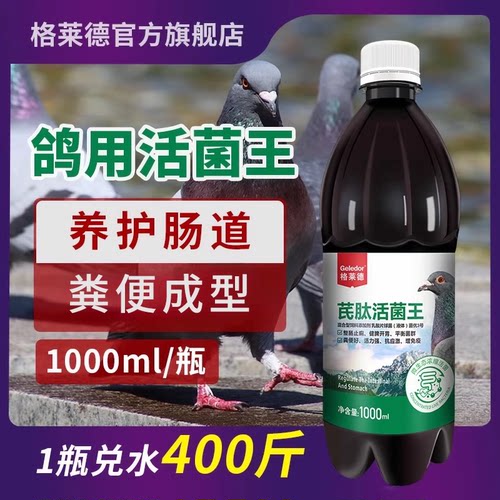 鸽子百亿活菌|肠道营养品|保健品