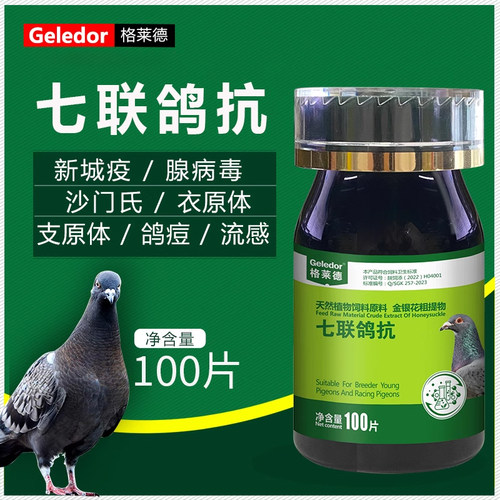 格莱德七联鸽抗100片鸽子常见病