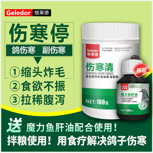 伤寒停清鸽子沙门氏肠道调理鸽药