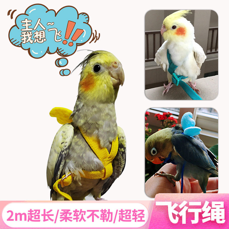 �������ı���ʽ�ŷ���������Ʒ�����������ǣ������������������