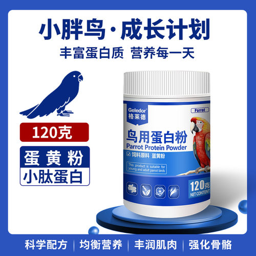 格莱德鹦鹉鸟用蛋白粉促进发育