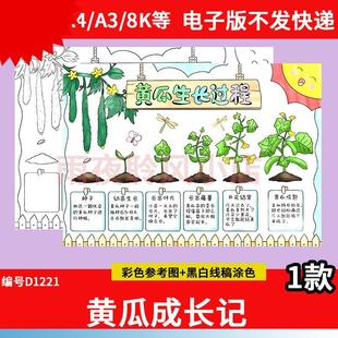 黄瓜生长过程成长记手抄报模板小学生植物蔬菜观察自然笔记线稿A4