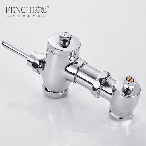 芬驰全铜壳体大便冲洗阀蹲便器手按冲水阀厕所蹲坑卧式手压延时阀