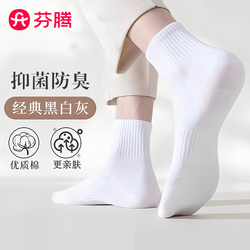 芬腾！棉袜中筒袜10双