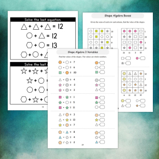 Math Logic Puzzles小学生数学思维训练图形代数练习册趣味册作业