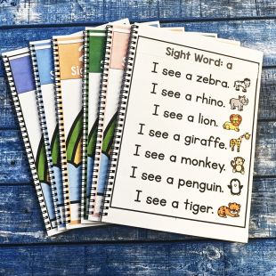 220sight word英语高频词一句话句子阅读练习册270单词常用词启蒙