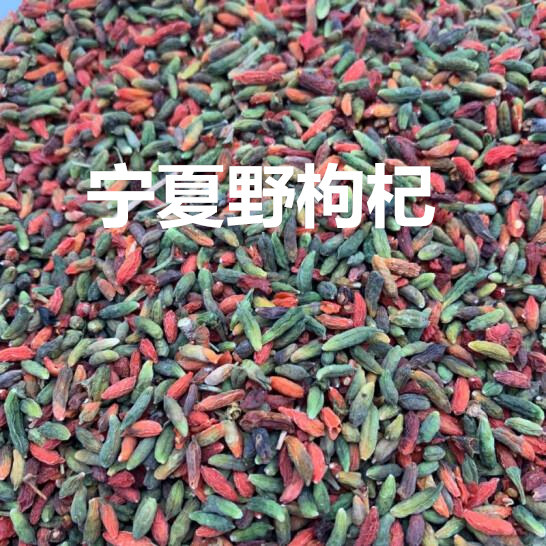 正宗新货宁夏中卫野青枸杞农家新货野杞子天然散装小枸杞免洗食用