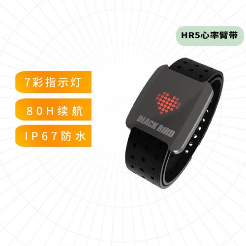 黑鸟BlackbirdHR5心率臂带新款