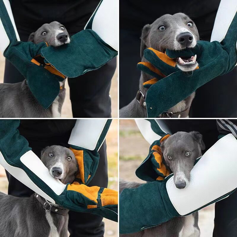狗狗防咬手套反绒牛皮防猫挠手套训犬神器加厚牛皮训练动物手套