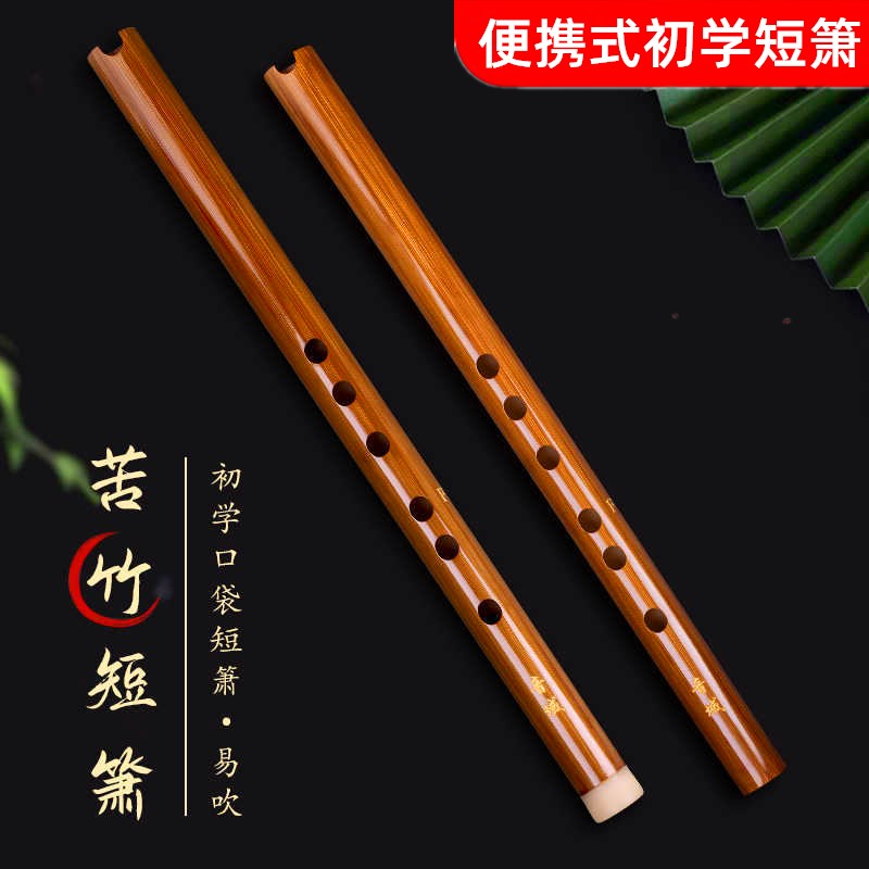 箫乐器初学者短萧迷你便携式苦竹箫6孔F调萧笛古风初学入门吹笛子
