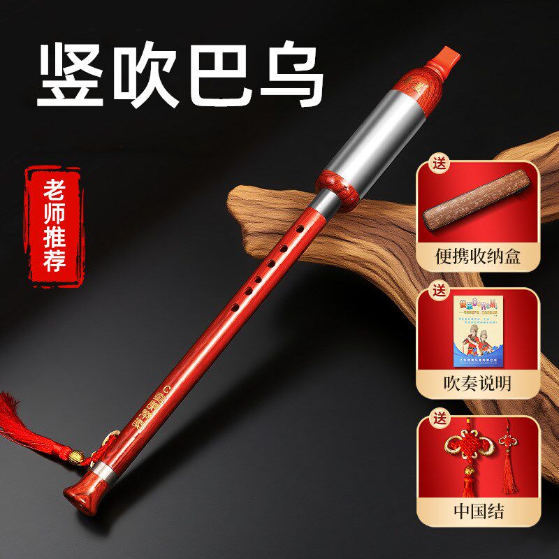 竖吹巴乌乐器树脂C调降B调儿童中小学生成人初学专业演奏民族乐器