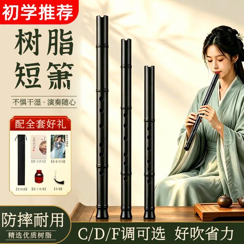 短箫树脂洞箫6孔短笛C/D/F调初学者入门六孔短萧专业演奏潇笛乐器