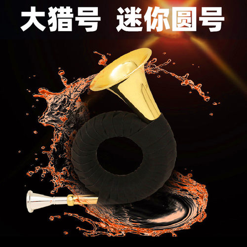 铜管吹奏乐器降Bb调大猎迷你圆号