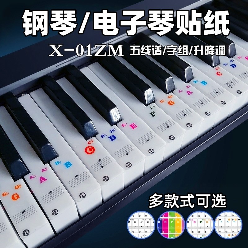 钢琴贴纸88键61键49键37键通用手卷电子琴键盘音阶字组五线谱音符