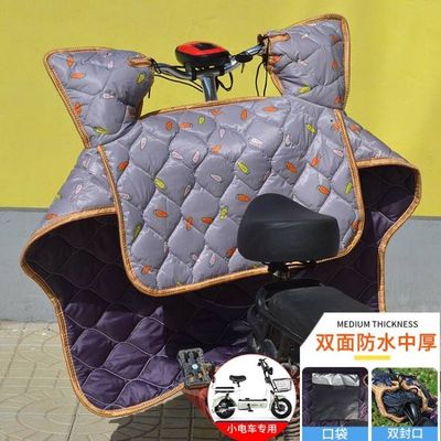 电动车挡风被春秋薄款防风罩四季小电车摩拖N车双面防水冬季加绒