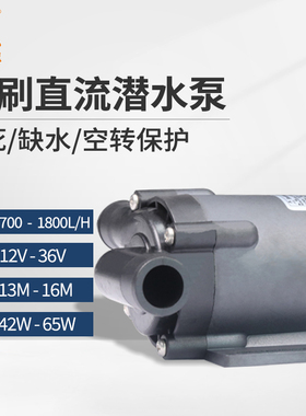 中科世纪16m高扬程大流量12V/24V迷你小型直流无刷潜水泵DC55A
