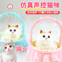 玩具猫猫仿真会叫的小猫咪摆件发光篮子迷你玩偶生日礼物女生女孩