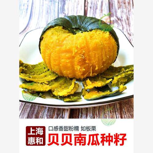 惠和一号贝贝南瓜种籽蔬菜种籽大全正宗贝贝板栗小南瓜种籽菜种子