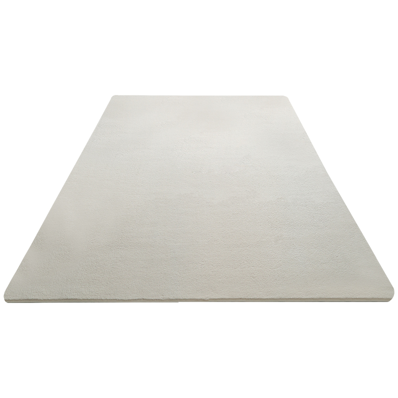 卧室地毯加厚毛绒床边毯满铺大面积客厅房间垫子白色拍照毛毯地垫