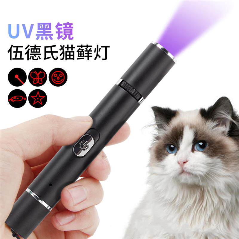 宠物玩具黑镜伍德氏紫光检查猫藓灯逗猫可变五种图案激光灯USB充