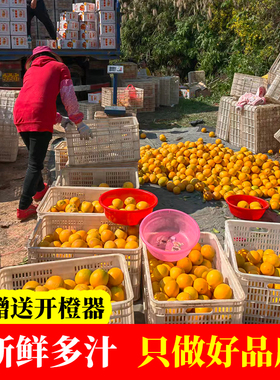 江西赣南脐橙安远特产新鲜应季水果5斤大果包邮当季整箱手剥橙子