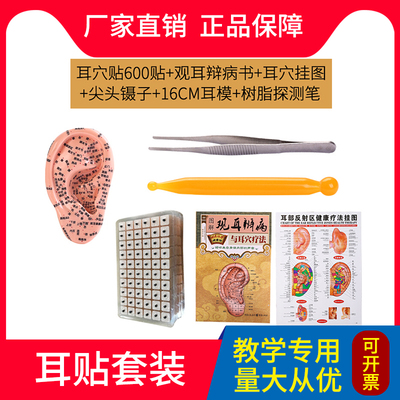 耳穴王不留行籽穴位模型包邮