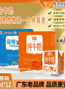 风行牛奶蓝莓/红枣/纯牛奶饮品200ml*12盒礼盒营养早餐官方授权