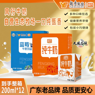 12盒礼盒营养早餐官方授权 纯牛奶饮品200ml 风行牛奶蓝莓 红枣