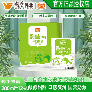风行酸味牛奶饮品200ml*12盒整箱酸甜开胃早餐前饮料官方授权店