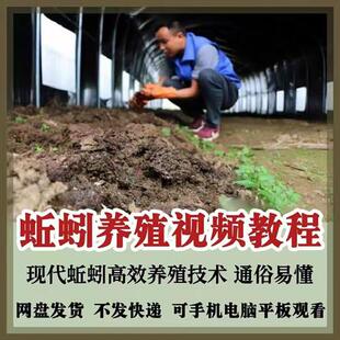 蚯蚓养殖技术视.频教.程素材零基础农O业创业大棚如何养蚯蚓高效