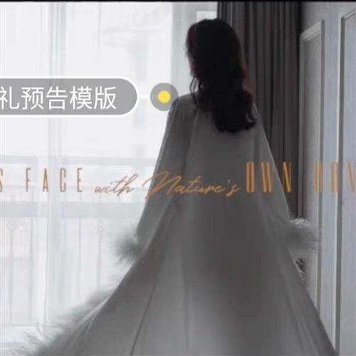 自用30款PR 高端婚礼快剪,婚礼g短片和婚礼预告模板。无脑替换自