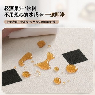简约免洗可擦床边地垫防水防污卧室轻 优选黑石地毯客厅2025t新款