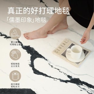 法式 优选地毯客厅卧室满铺新款 z简约轻奢高级仿羊绒沙发茶几毯地