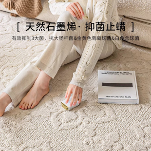 石墨烯抑菌奶油D风立体浮雕法式 优选地毯客厅新款 轻奢卧室床边毯