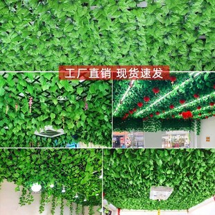 精选仿真绿萝叶水管道装 饰A花藤空调遮挡绿叶藤条室内外藤蔓假