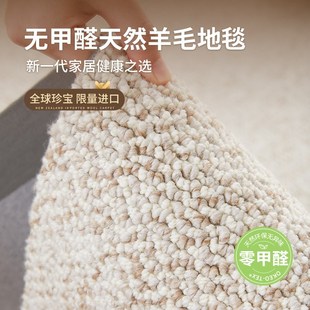 轻奢F高级现代简约耐脏客厅地垫 优选新西兰进口羊毛地毯新款