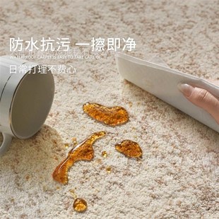 优选素色防水无胶客m厅地毯沙丘现代简约高级感抗污抑菌客厅卧室