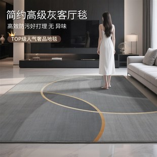 卧室沙z发免洗可擦地毯垫大面积全铺轻奢高 优选地毯客厅2025新款