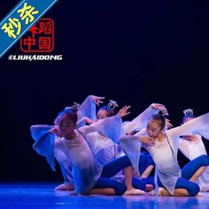 新小荷风采青莲儿童舞蹈演出j服古典女童练功表演服装民族秧歌渐