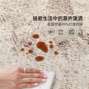 精选地毯客厅轻奢k高级免打理房间沙发地垫家用卧室床边毯毛绒加