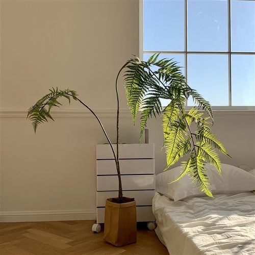 优选楼夏家仿真绿植金丝猴头蕨室内橱F窗假植物摆件日式网红禅意