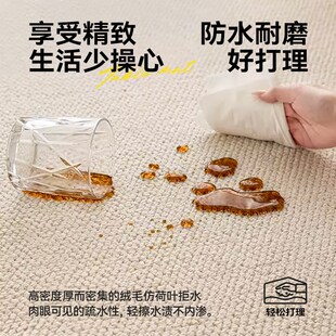 免洗可擦轻奢高级感床边卧室地毯垫 精选中古风地毯客厅v新款