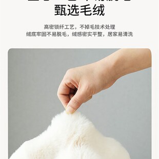 精选家用奶油风可l水洗泡泡绒地毯地垫卧室床边客厅飘窗沙发毛毯