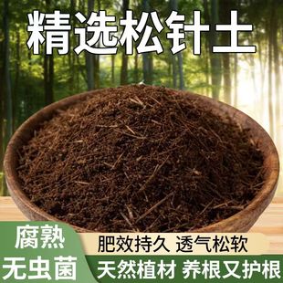 腐熟松针土90斤包邮优质腐植土营养土种菜养花通用腐叶土天然植材
