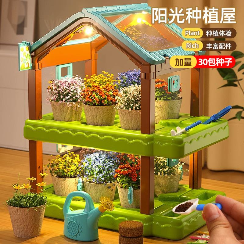 阳光房种植儿童科学小实验套装种菜植物观察玩具女孩生日礼物手工