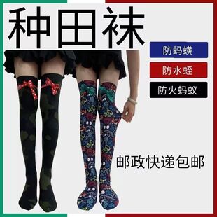 防蚂蚁蚂蝗水蛭防磨脚袜超弹力不起球农民种田防护超厚插秧长袜子