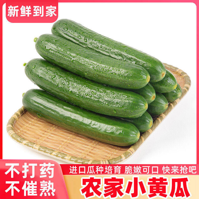 寿光水果黄瓜新鲜生吃脆嫩正宗水果黄瓜绿心无刺小黄瓜蔬菜一整箱