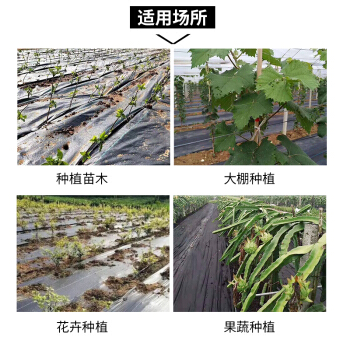 促防草布除草布加厚抗老化园艺地布果园农用盖草抑草地膜透气保新