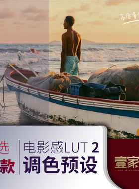lut预设调色滤镜插件电影感调色PRPS达芬奇FCPX剪映人像人文时尚