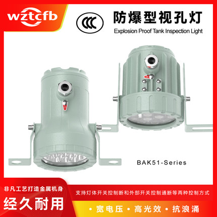 台创BAK51防爆视镜灯led视孔灯反应釜内视容器罐观察窗聚光射灯